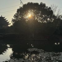 評論圖片 5