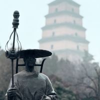 評論圖片 8