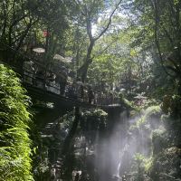 評論圖片 2