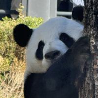 評論圖片 2