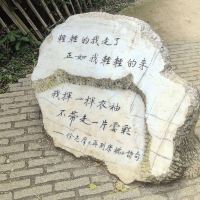 評論圖片 8