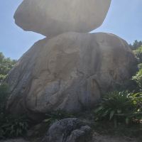 評論圖片 7