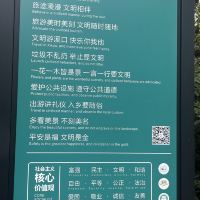 評論圖片 5