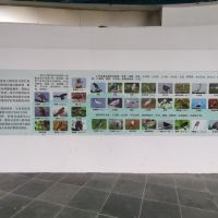 評論圖片 5
