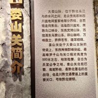 評論圖片 3