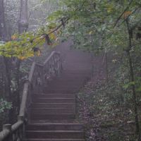 評論圖片 4