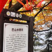 評論圖片 5