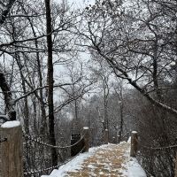 評論圖片 5