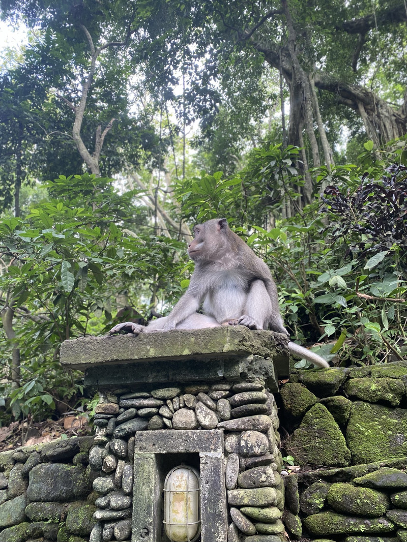 聖猴森林公園用戶評價