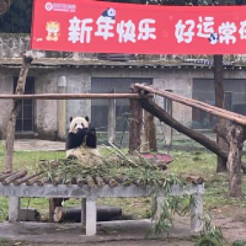 評論圖片 4