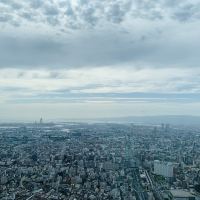 評論圖片 2