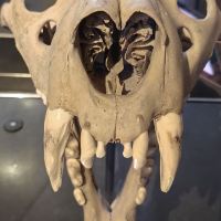 評論圖片 8