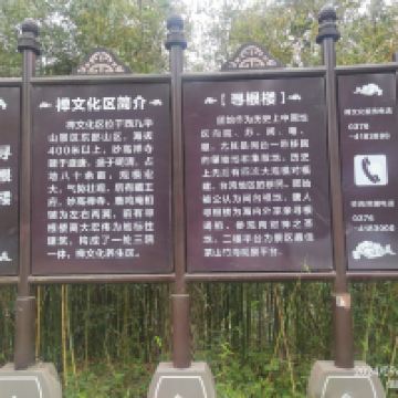 評論圖片 2
