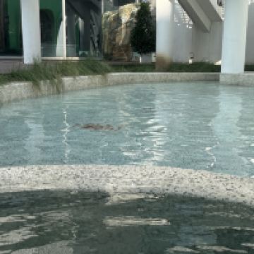 評論圖片 8