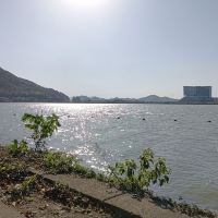 評論圖片 1