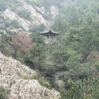 評論圖片 2