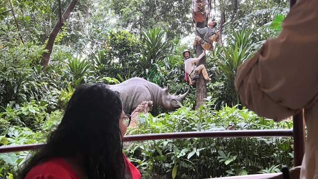 review picture