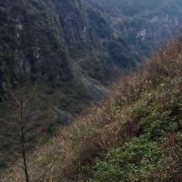 評論圖片 1