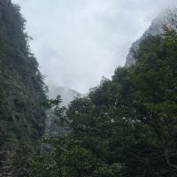 評論圖片 6