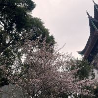 評論圖片 2