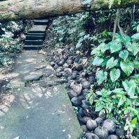 評論圖片 3