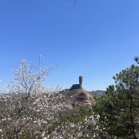 評論圖片 4