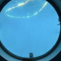 評論圖片 1