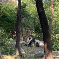 評論圖片 4