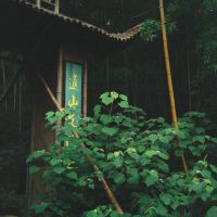 評論圖片 1