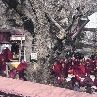 評論圖片 2