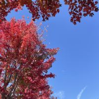 評論圖片 2