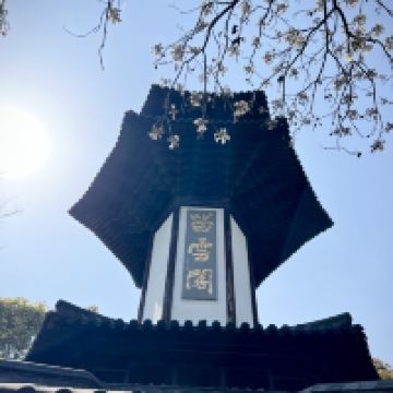 評論圖片 8