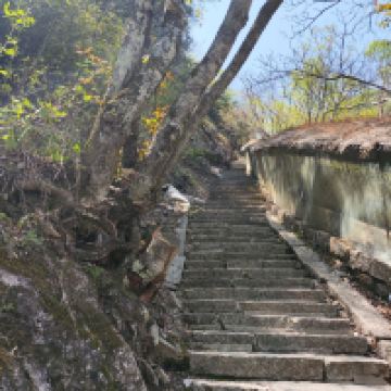 評論圖片 7