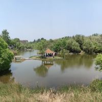 評論圖片 2