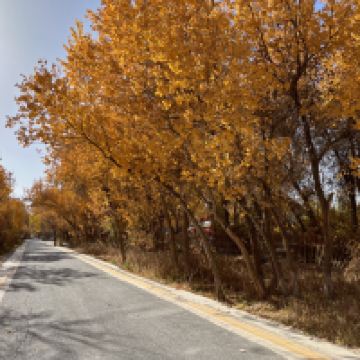 評論圖片 4