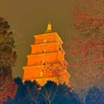 評論圖片 2