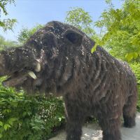 評論圖片 5
