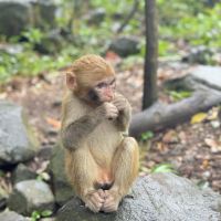 評論圖片 6