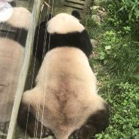 評論圖片 3