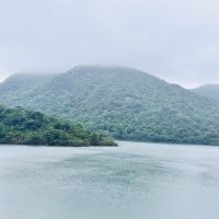 評論圖片 8