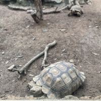 評論圖片 7