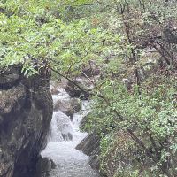評論圖片 7