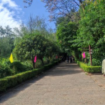 評論圖片 6