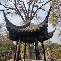 評論圖片 5