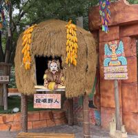 評論圖片 8