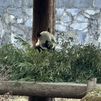 評論圖片 2