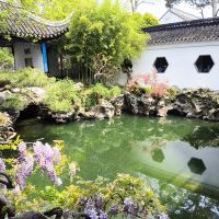 評論圖片 6