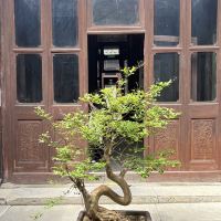 評論圖片 8