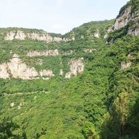 評論圖片 3