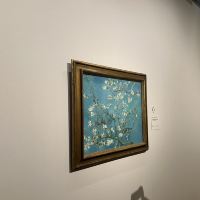 評論圖片 1
